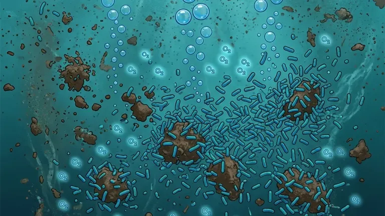 A scientific illustration showing the chemical reaction between hydrogen sulfide gas and moisture on concrete tank walls, producing sulfuric acid that causes progressive corrosion of the tank structure.